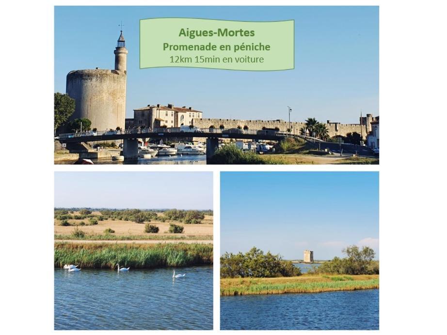 L'Olympe Vue Lac Parking Clim Wifi - Rossiconciergerie - Linge Inclus La Grande-Motte Eksteriør billede